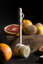 Load image into Gallery viewer, Ahşap Saplı Meyve Sebze Ve Bulaşık Fırçası

