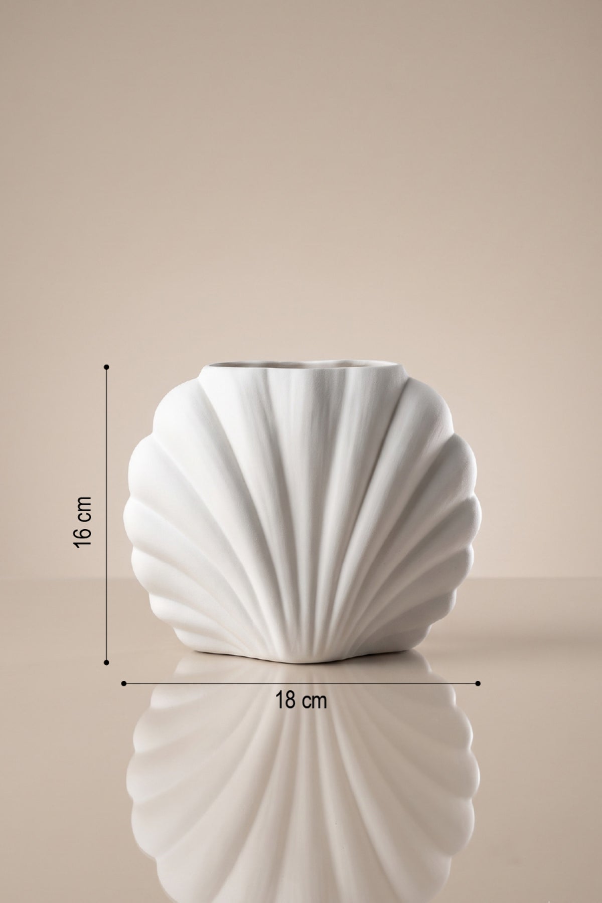 Beyaz istiridye vazo ölçüleri: 16 cm yükseklik, 18 cm genişlik