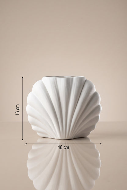 Beyaz istiridye vazo ölçüleri: 16 cm yükseklik, 18 cm genişlik