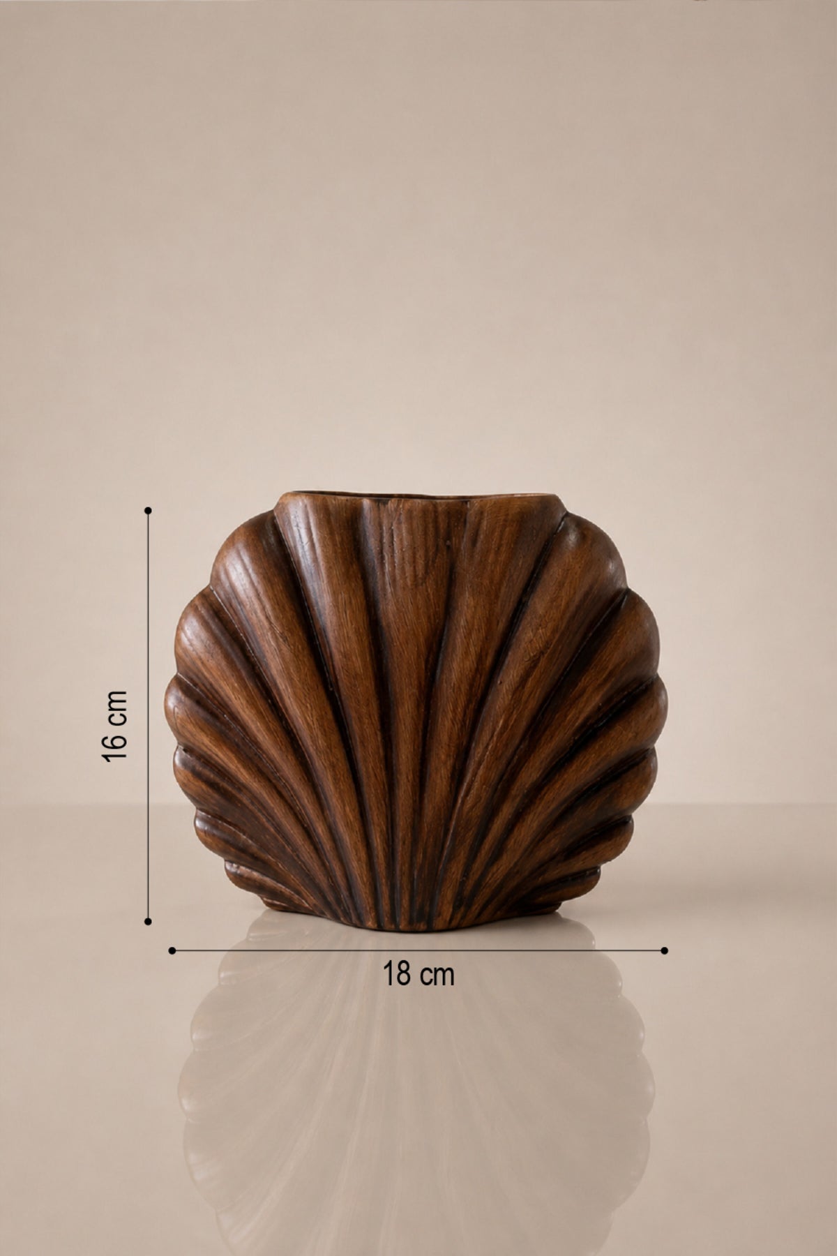 Kahverengi istiridye vazo ölçüleri: 16 cm yükseklik, 18 cm genişlik